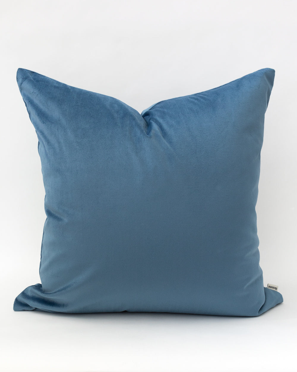 Wren Velvet Pillow Cover, Cerulean Blue