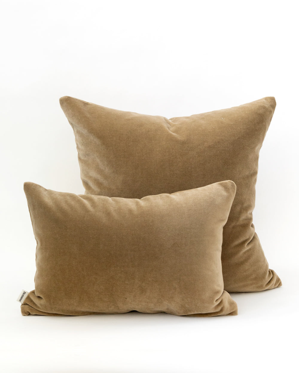 Wren Velvet Pillow Cover, Fawn