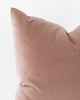 Close up detail of Rose velvet pillow